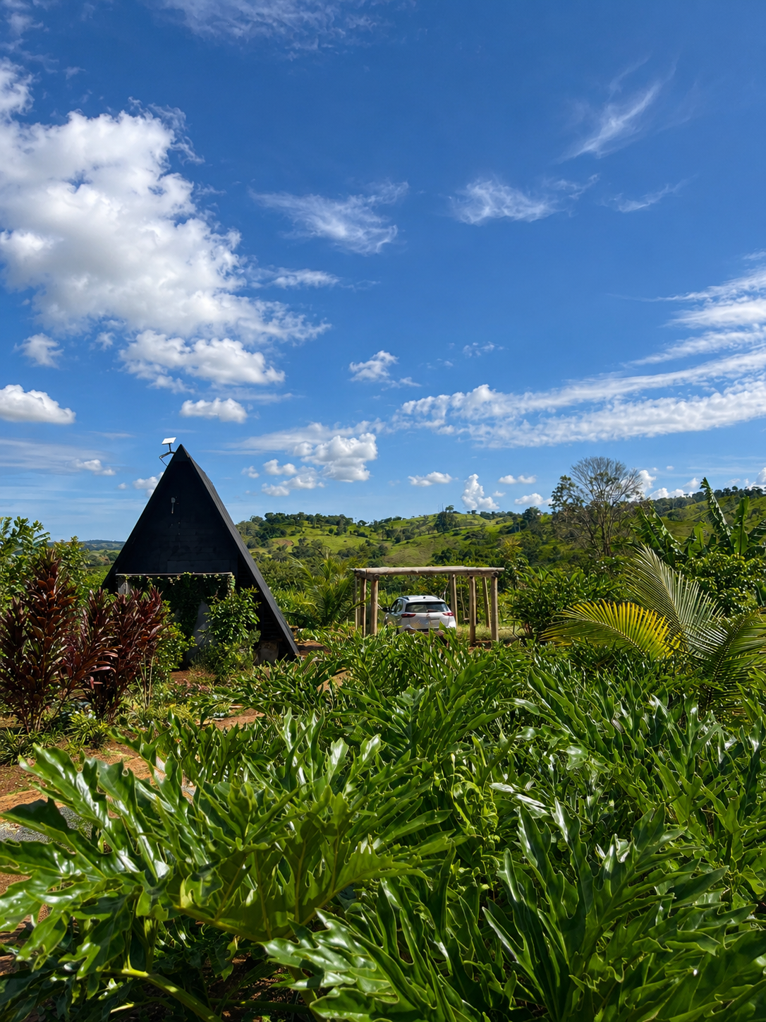 Cabana Ypê
